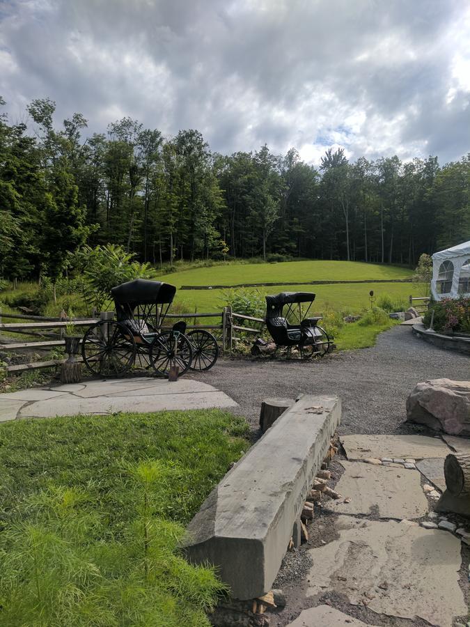 New Park Retreat Hotell Ithaca Eksteriør bilde